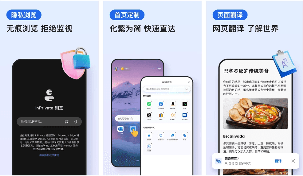 微软 Edge浏览器 v134.0.3124.57 谷歌版