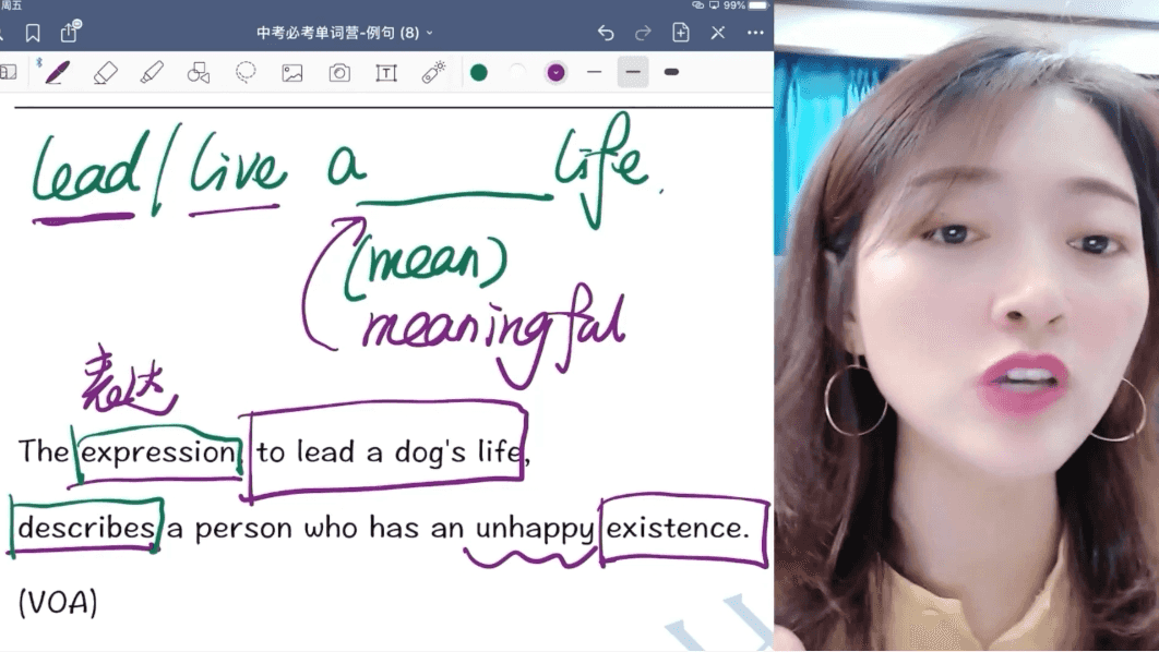 沙沙老师英语课程,初级单词+语法二合一,341节完整版