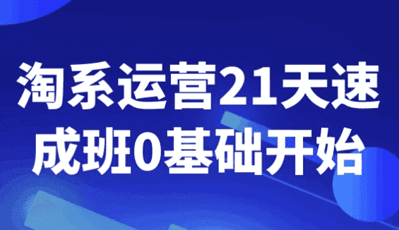 淘系运营21天速成班0基础开始