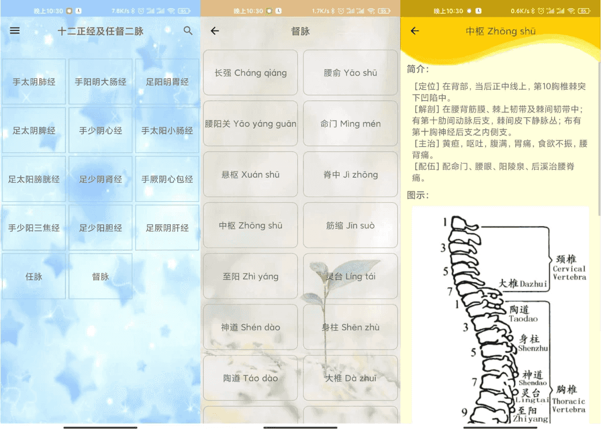 人体穴位图解 v3.1.8 可离线版-酷软