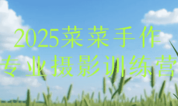 2025菜菜手作专业摄影训练营-酷软