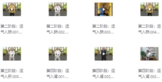 陆天龙极龄呼吸法21天养生营-酷软