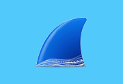 Wireshark中文版(网络抓包工具) v4.4.7 多语便携版-酷软