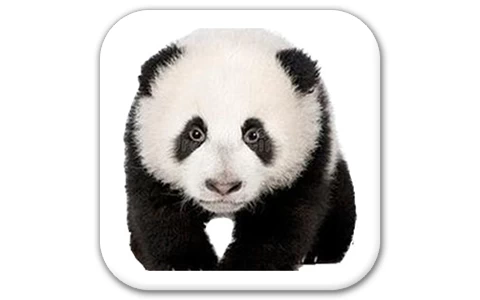 熊猫精灵脚本助手 v3.1 零代码生成自动化效率软件-酷软