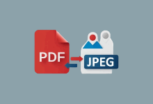 ASCOMP PDF Imager(PDF转图片工具) Pro v2.010 便携版-酷软