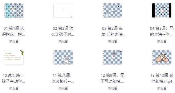国际象棋零基础教学-酷软