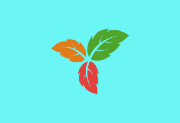 Trilium Notes(笔记应用程序) v0.95 中文绿色版-酷软