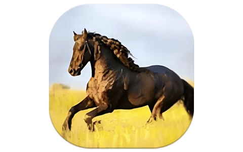 YourTV 你的电视TV v1.8.3 清爽版-酷软