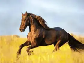 YourTV 你的电视TV v2.2.4 清爽版-酷软