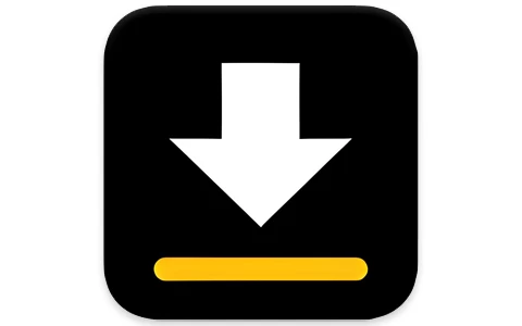 Video Downloader 视频下载器 v2.4.1 手机网页视频下载神器-酷软