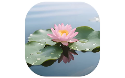 荷花壁纸 v1.1 去广告-酷软
