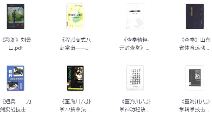 武术类书籍合集-酷软