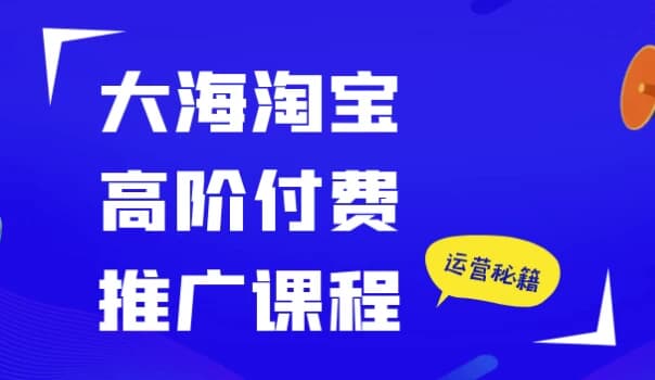 大海淘宝高阶付费推广课程-酷软