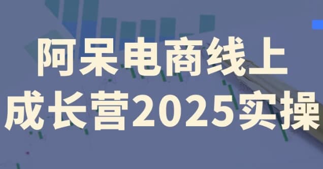 阿呆电商线上成长营2025实操-酷软