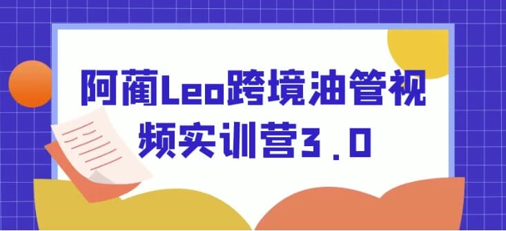 图片[1]-阿蔺Leo跨境油管视频实训营3.0-酷软