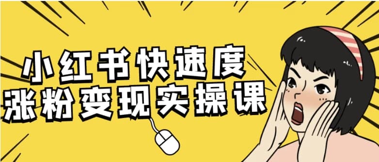 小红书快速度涨粉变现实操课-酷软