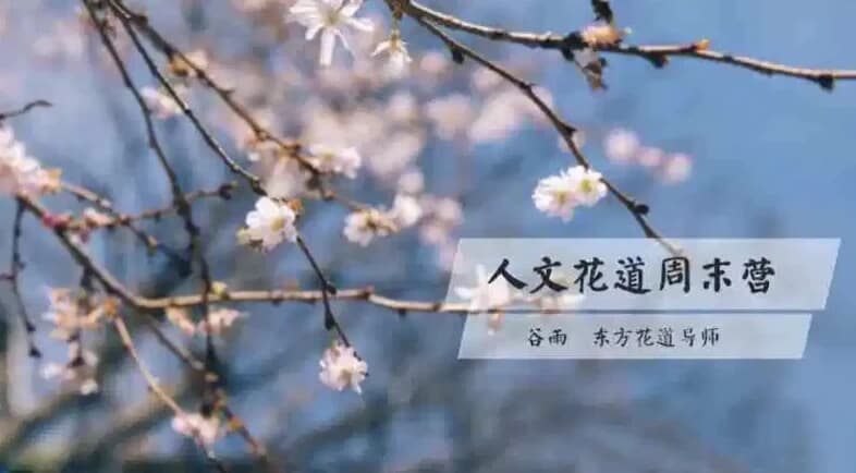 人文花道美学营-酷软