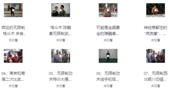 陈鹤皋“无限制格斗”实战训练视频-酷软