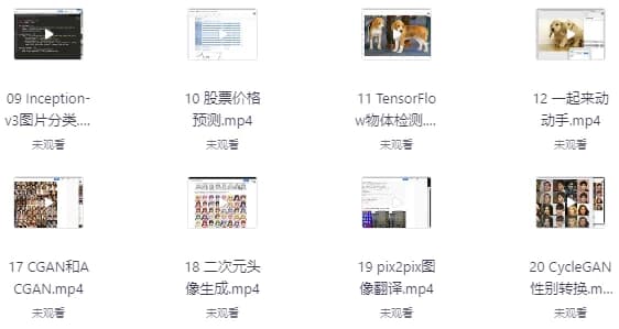 AI开发项目-酷软