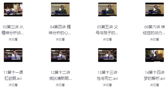 曾奇峰老师的精神分析课程-酷软