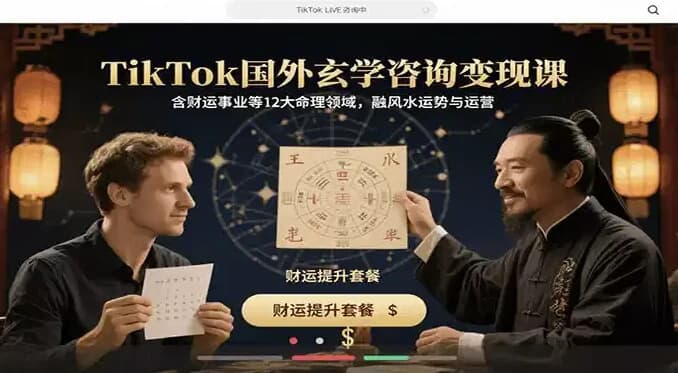TikTok国外玄学咨询变现课，含财运事业等12大命理领域-酷软