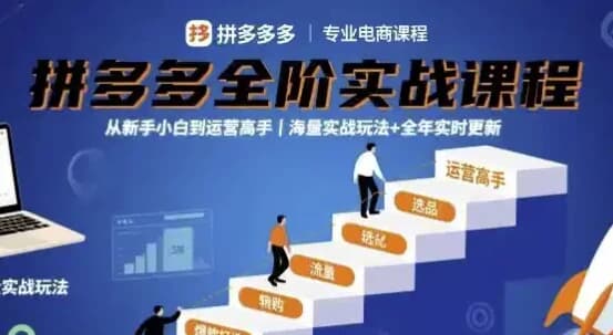 大炮拼多多全阶实战课程，从新手小白到运营高手，海量实战玩法+全年实时更新【2025年9月更新】-酷软