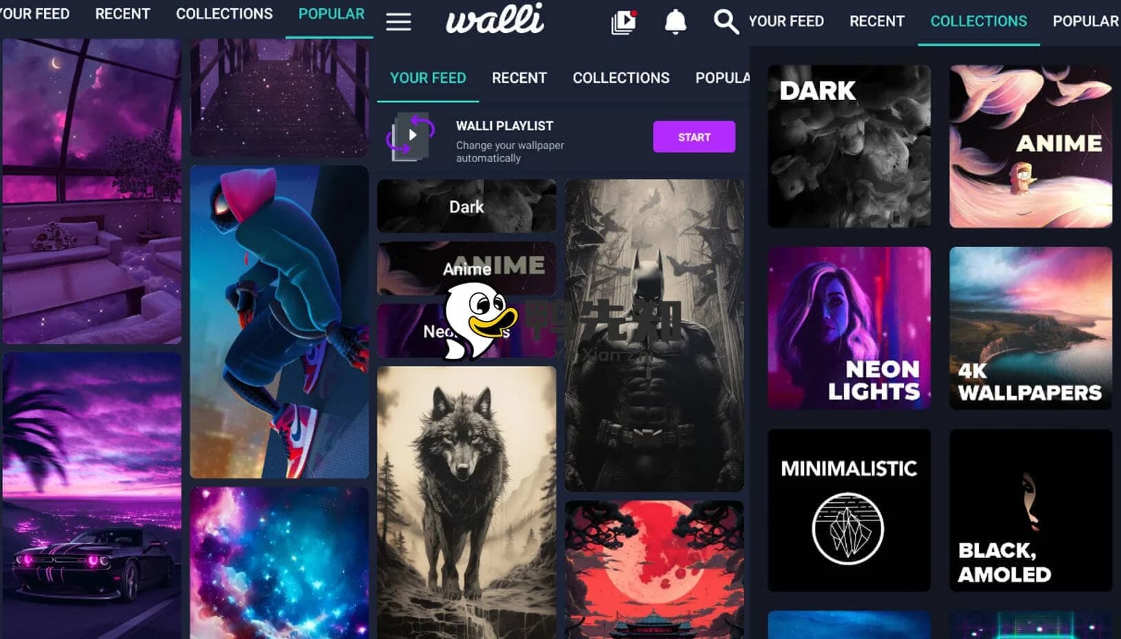 图片[1]-Walli 4K v2.12.90 4K壁纸，原创和高品质高清壁纸的集合，解锁高级版-酷软