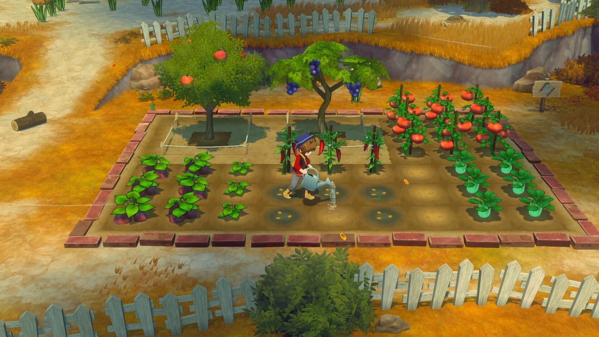 《牧场物语 来吧！风之繁华集市》v1.0.4 中文版-酷软