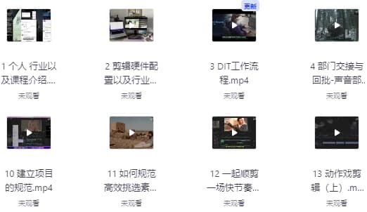 莱尼日记影视剪辑全流程入门+短剧实战课 – 带素材-酷软