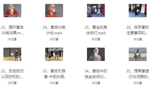杰森拳击高清系统教学中英字幕-酷软