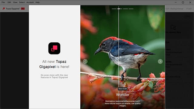 图片[1]-Topaz Gigapixel(图像超分辨率软件) Pro v1.0.2 直装破解版-酷软