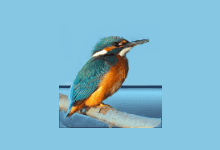 Highlight(开源的代码高亮显示工具) v4.17 中文绿色版-酷软