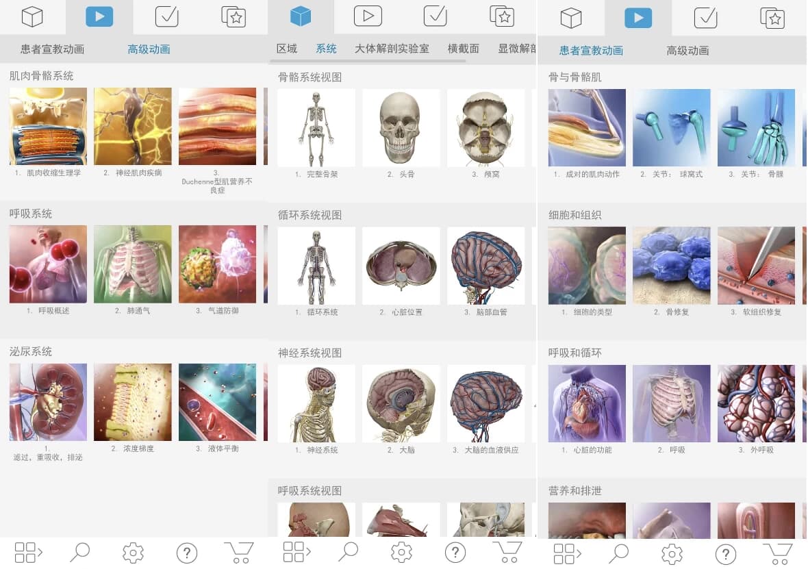 图片[1]-Atlas 人体解剖学图谱 v2026.00.019 高级版-酷软