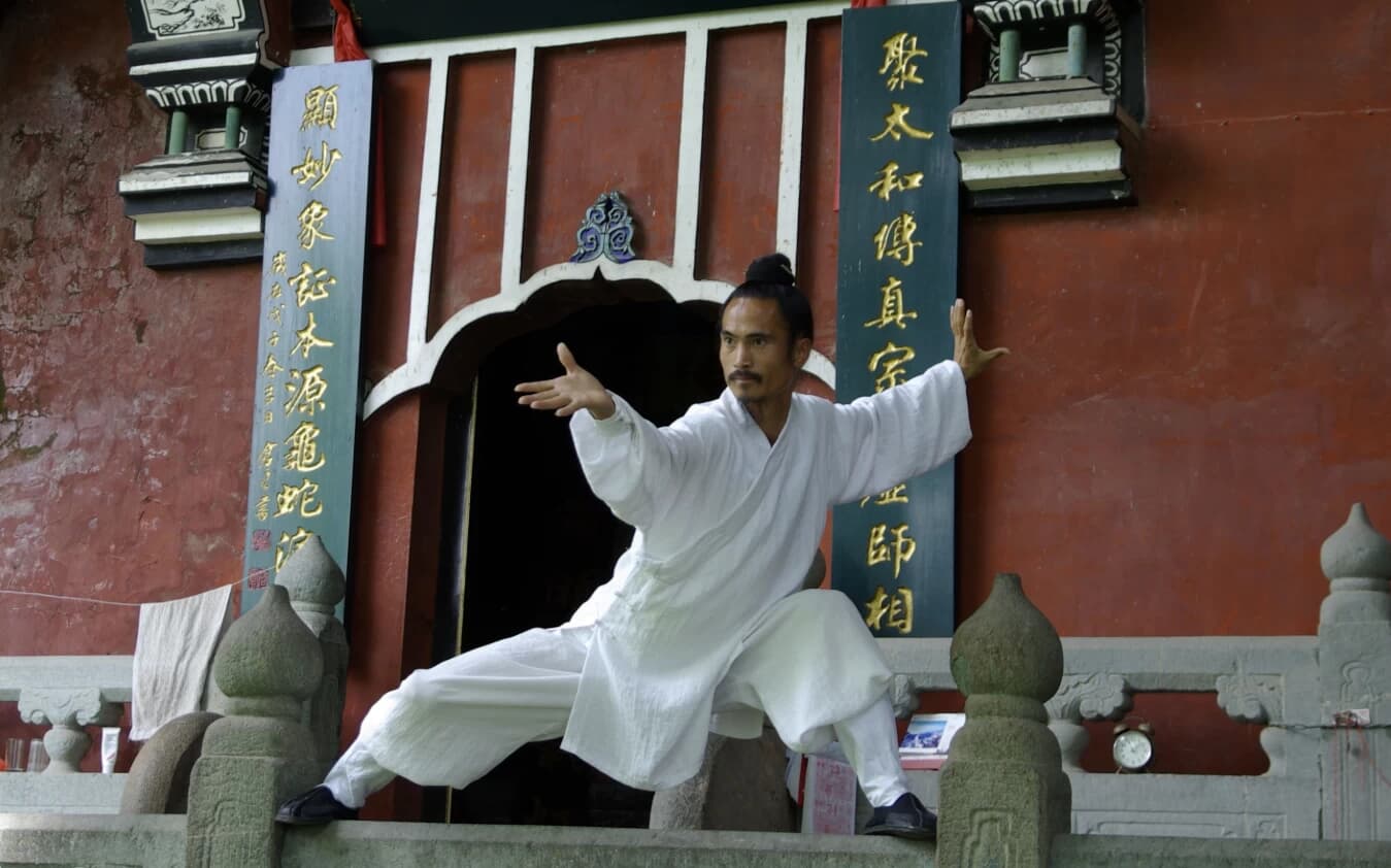 武当袁师懋道长养生八段锦-酷软