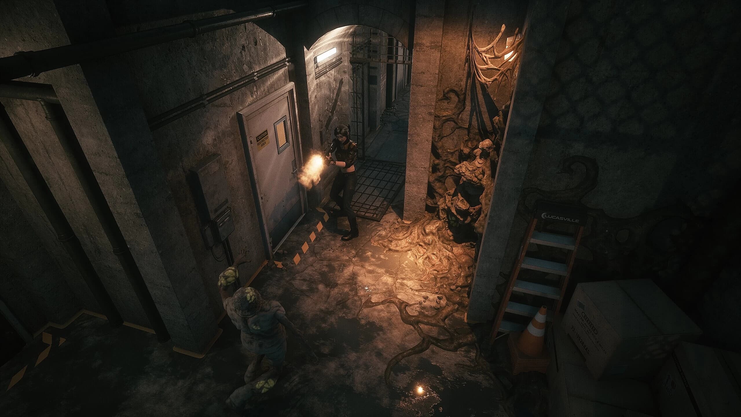 《Echoes of the Living 生者回声》v0.09 绿色英文版-酷软