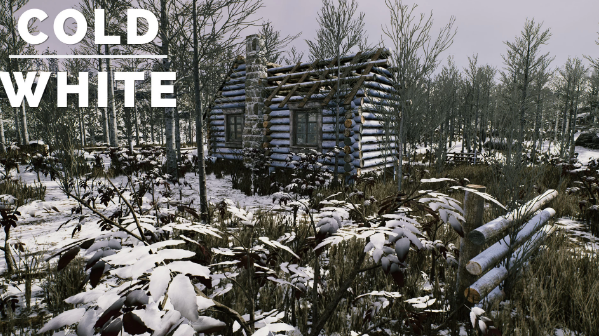 《The Cold White 冷白》Build.21100504 绿色中文版-酷软