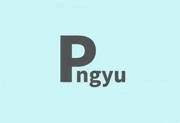 Pngyu(PNG图像批量压缩工具) v1.0.5 中文绿色版-酷软