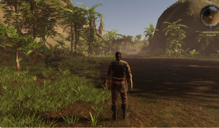 《Corsairs Legacy 海盗遗产》v0.3135 绿色中文版-酷软