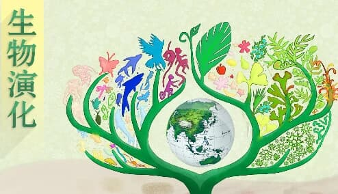 北京大学《生物演化》-酷软