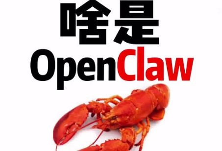 喂饭级教程 一个视频搞懂OpenClaw+完整安装课程-酷软