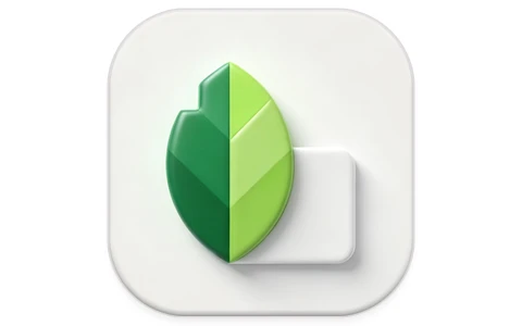 Snapseed 专业照片编辑 v4.1.1.948762742 谷歌版-酷软