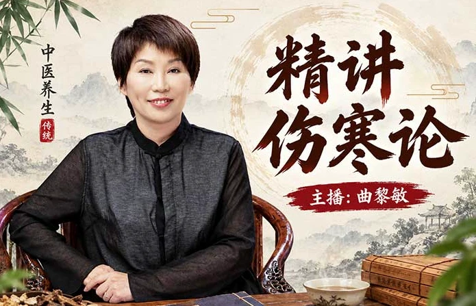 精讲伤寒论-酷软